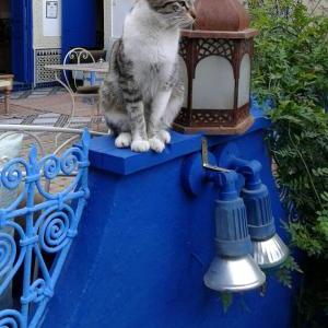Riad Jean Claude