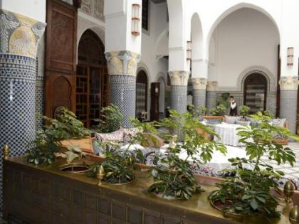 Riad El Yacout - image 20
