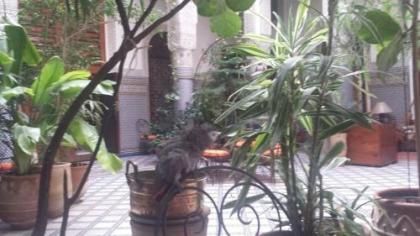 Riad Al Bartal - image 16