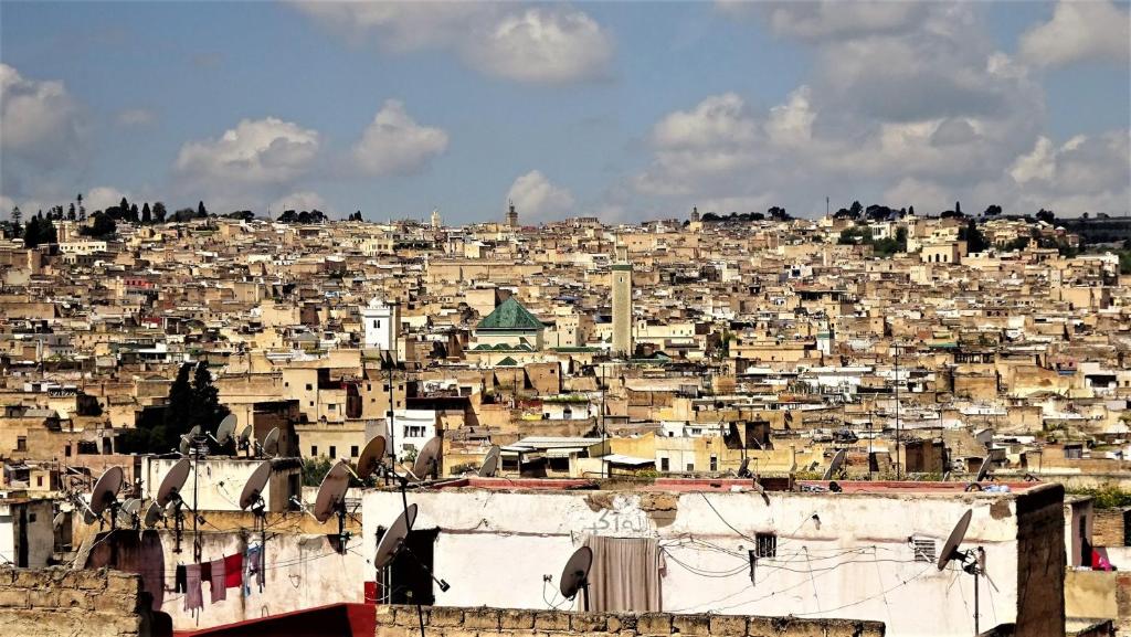 Riad Razane - image 2