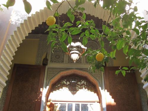 Riad Jaouhara - image 6