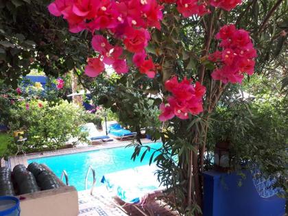 Riad Jean Claude - image 4