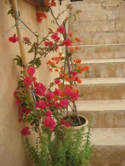 Dar Houdou - image 10