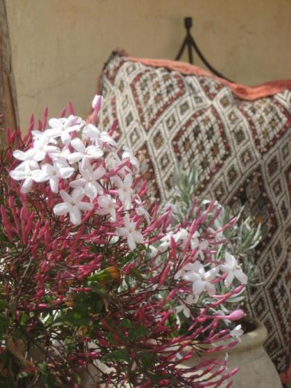 Dar Houdou - image 12