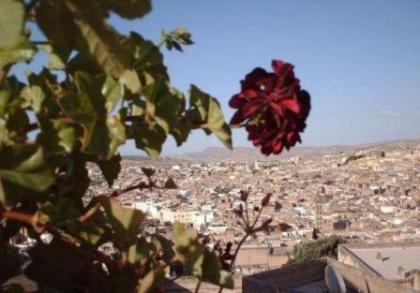 Dar Al Safadi - image 3