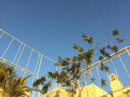 Riad Tizwa - image 19