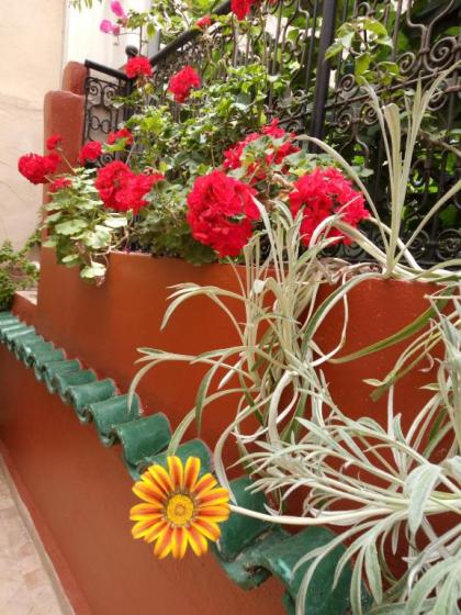 Riad Letchina - image 20