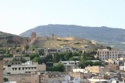 Riad Sanaa Rose - image 13