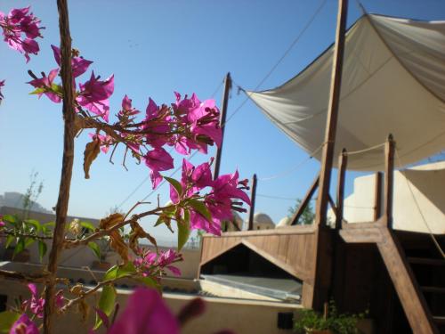 Riad Dar Pierre - image 6