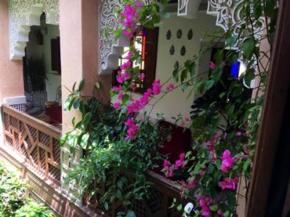 Riad Toyour- Riad of birds - image 5
