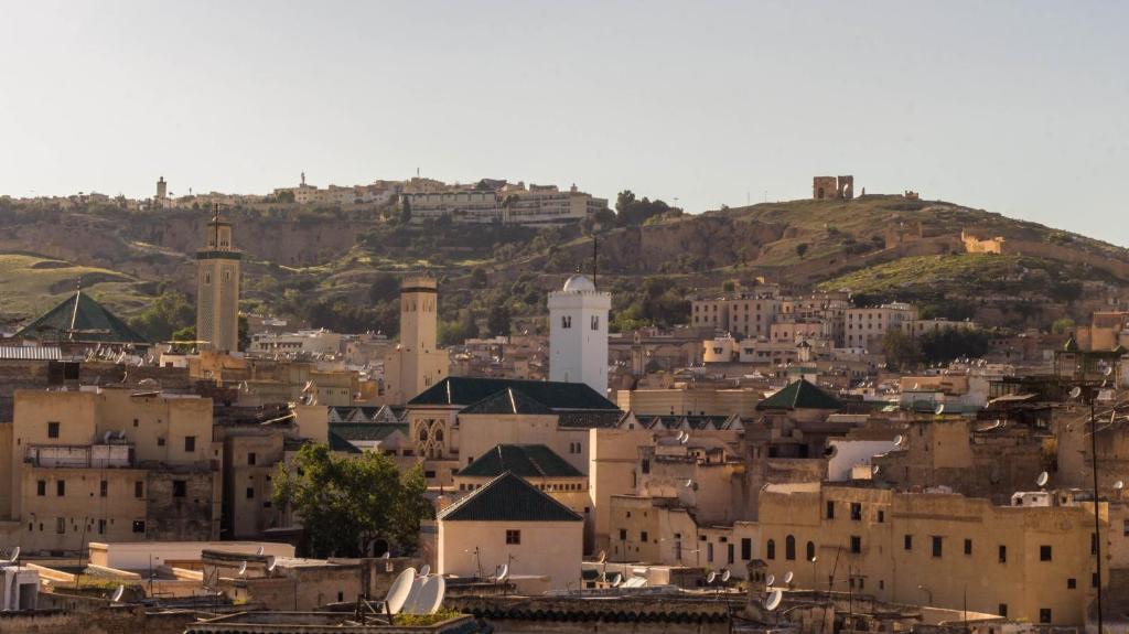 Riad Taha - image 2