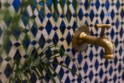 Riad Taha - image 8