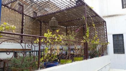 Dar Jomaziat - image 12