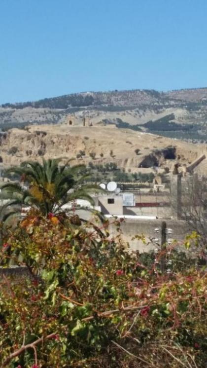 Dar Jomaziat - image 7