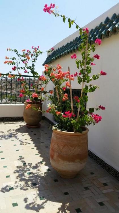 Riad Batchisarai - image 4