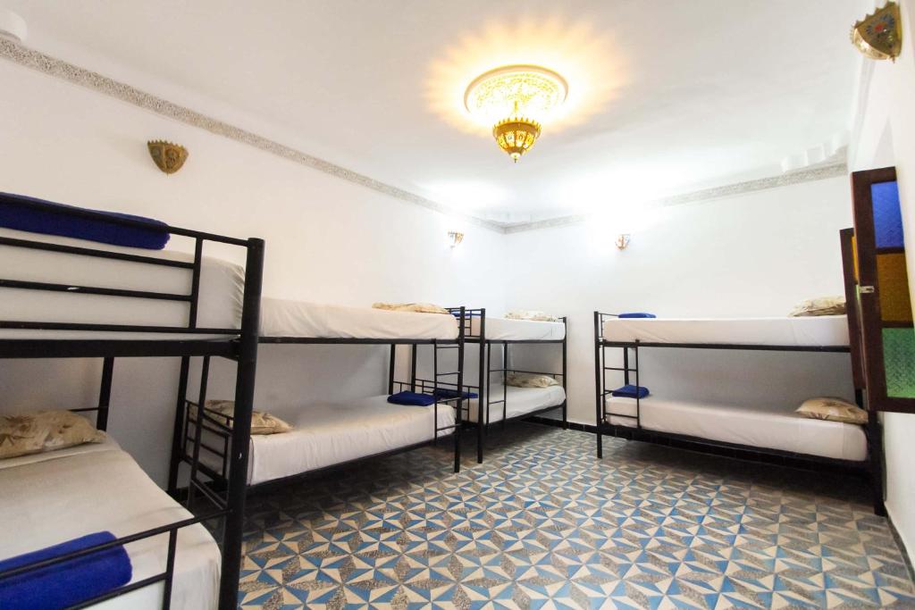 Hostel Amir - image 3